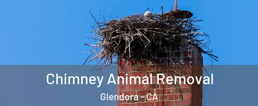 Chimney Animal Removal Glendora - CA