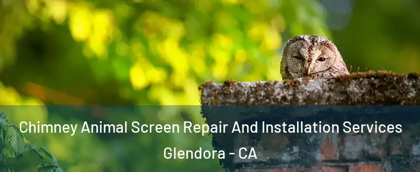  Chimney Animal Screen Repair And Installation Services Glendora - CA